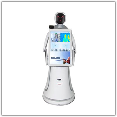 Temperature measuring robot shell customization