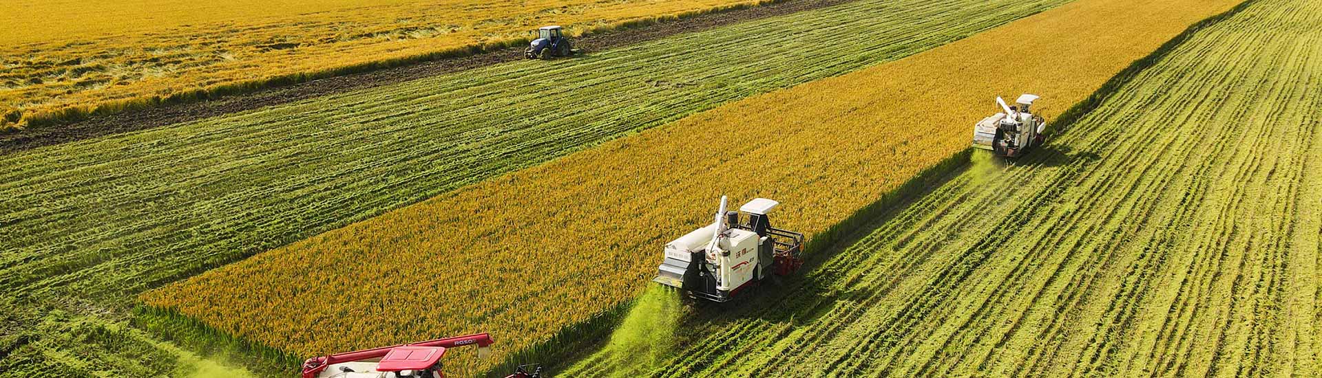 Smart Farming1