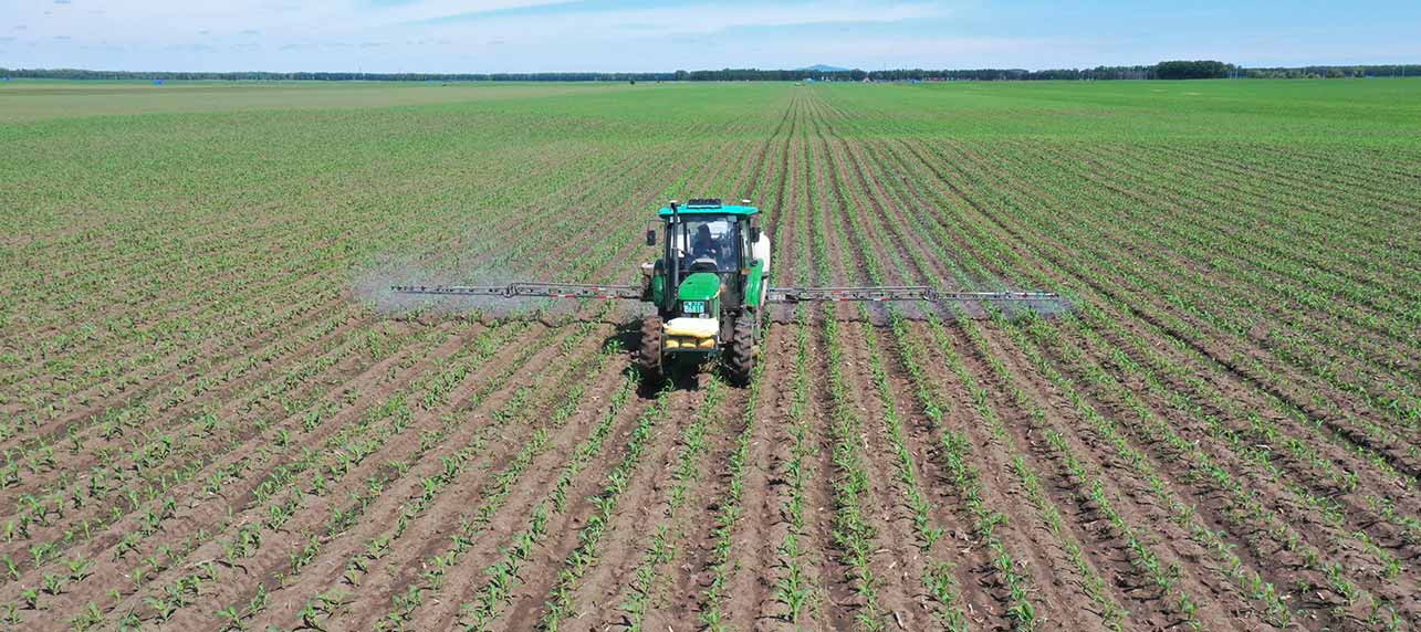 Smart-Farming4