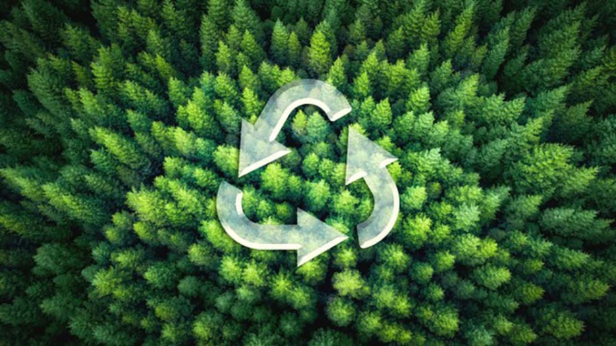 Tortai Technologies 1 (4)